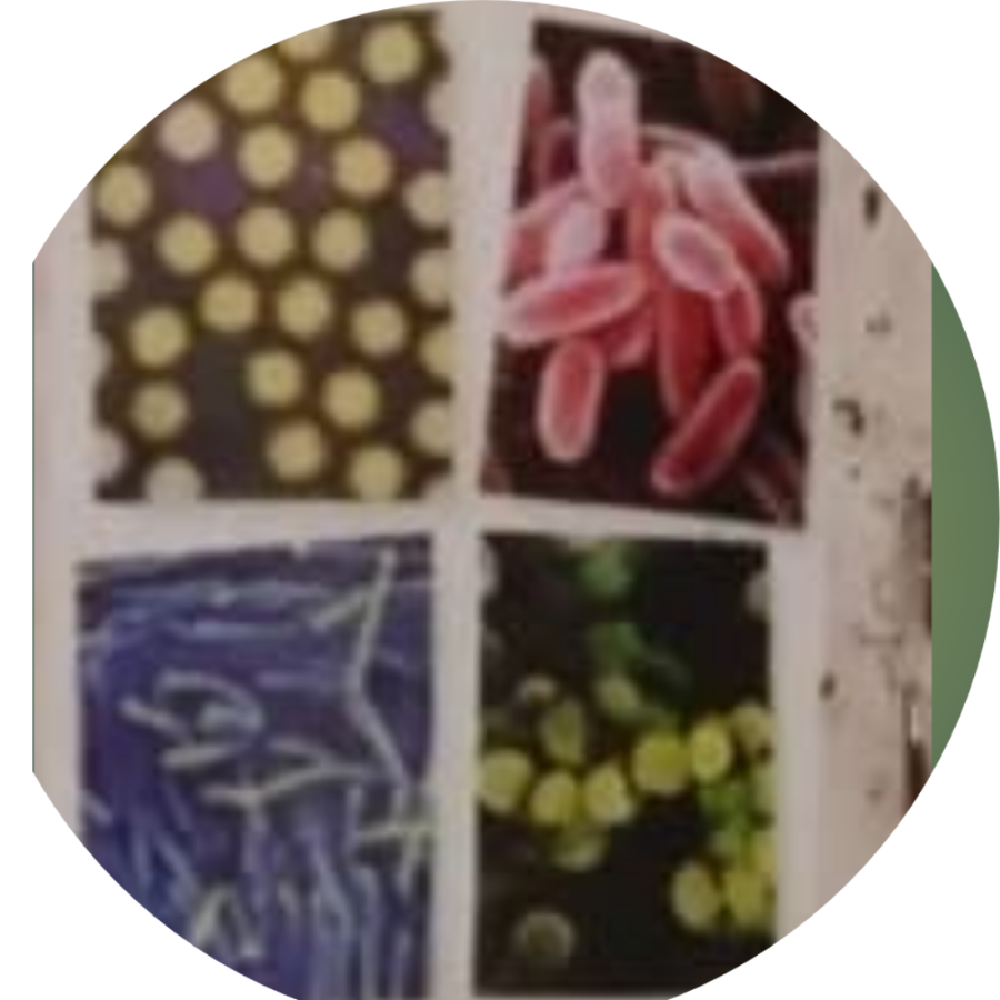 Anti Microbial Image